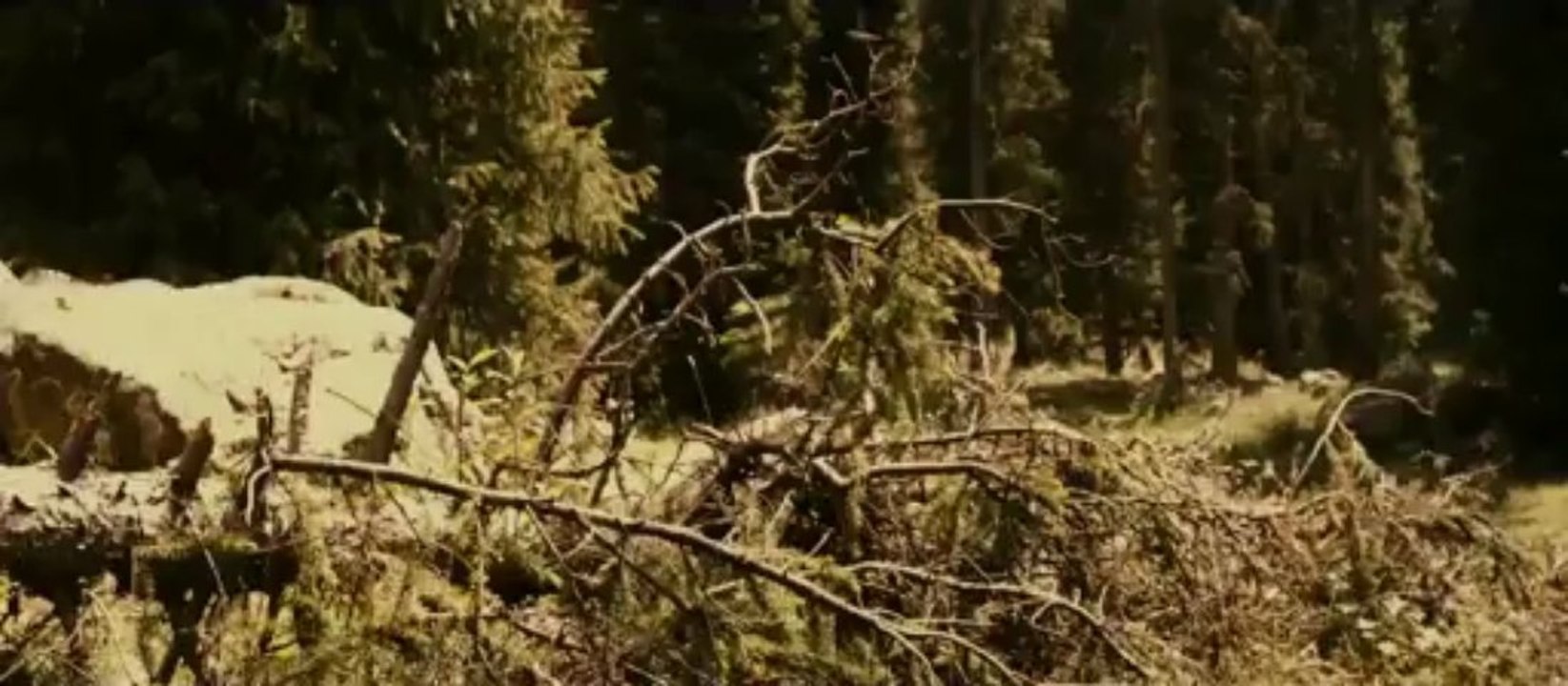 Myn Bala, les guerriers de la steppe ( bande annonce VF )