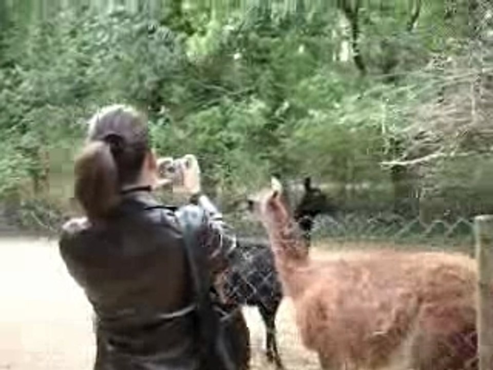 visite parc des oiseaux upie