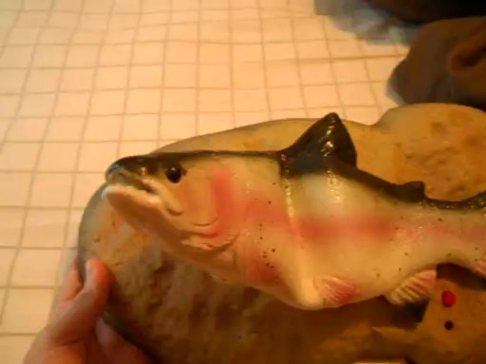 Travis Trout Fish