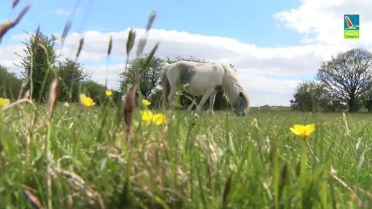 Partie de campagne dans le Devon