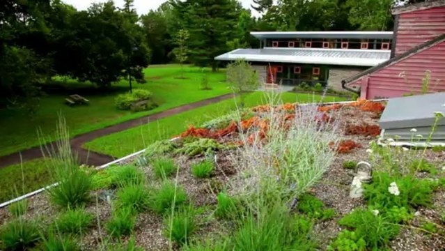 Eastman Chemical Company: Embedding Sustainability in everything we do