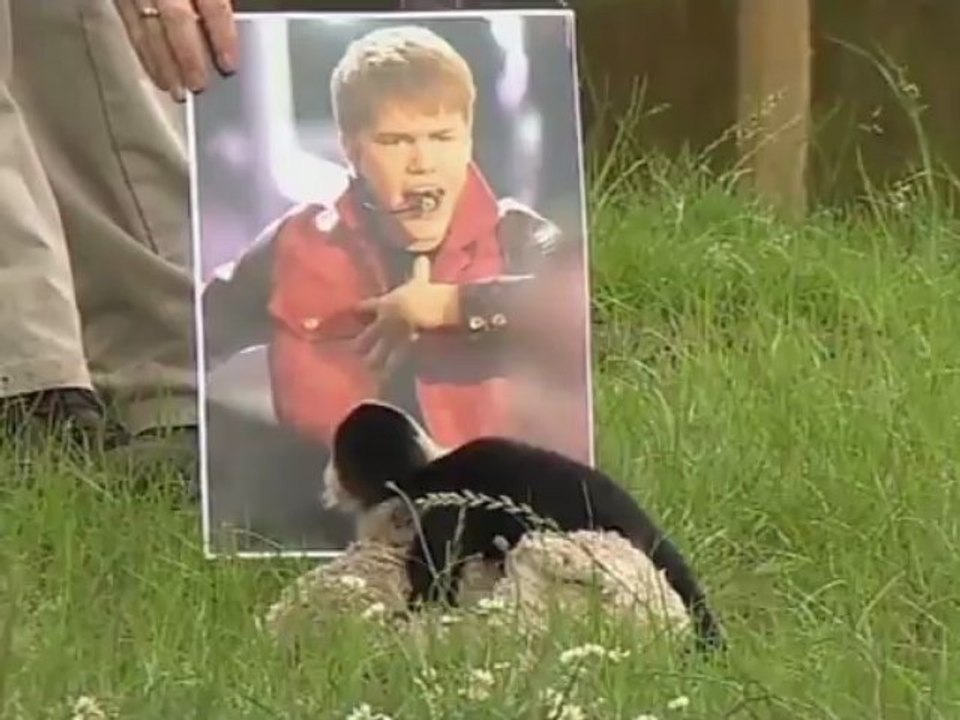 Mono de Justin Bieber llega a su nuevo hogar en Alemania