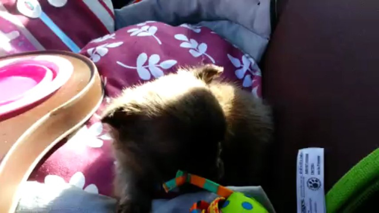 J1. Igloo en pause voiture sur un parking 2 (9/9)