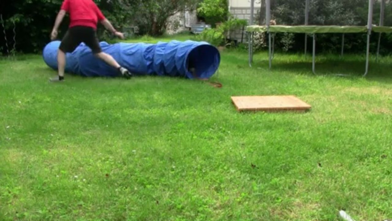 iokko obe 2 4 mois et demi