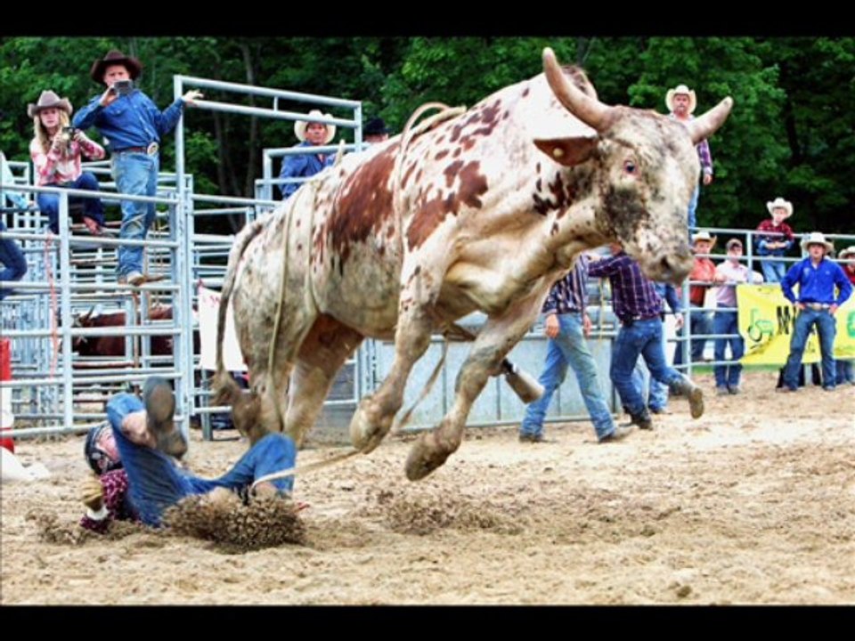 Bo Brown - Rodeo Cowboy
