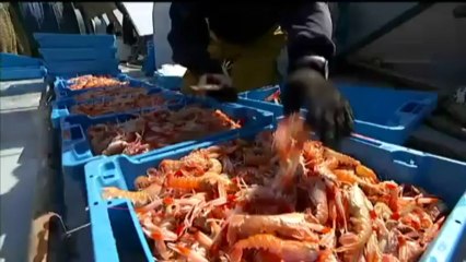 Espai Terra - dimecres 26 de juny