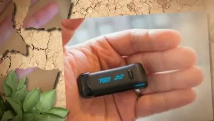 Fitbit Pedometer Review