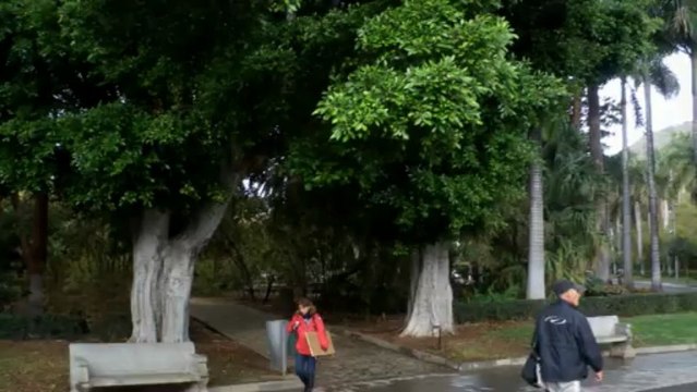 JARDIN BOTANIQUE SANTA CRUZ ÎLE DE TENERIFE (CANARIES) en MARS 2013