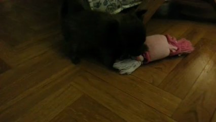 J3. Igloo en forme au réveil matinal