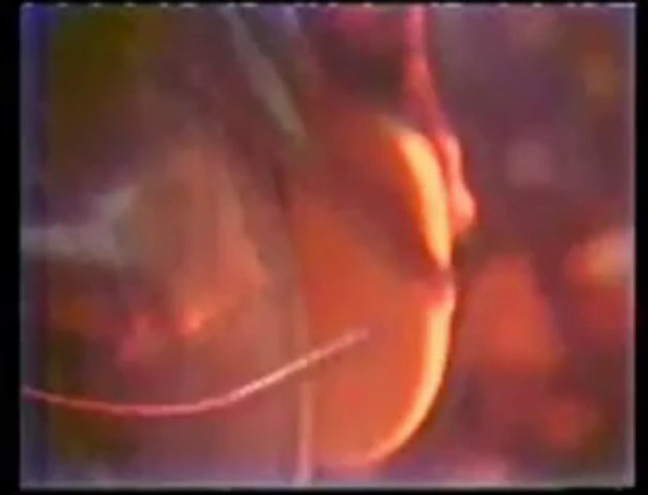 KUD IDIJOTI - Maja (1987)