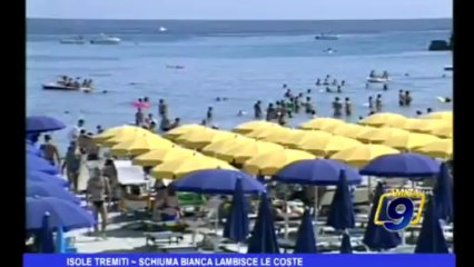 Isole Tremiti |  Schiuma bianca lambisce le coste