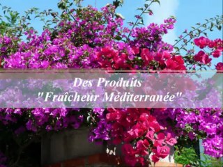 LES VALETS DU LOGIS Entreprise Nettoyage MONACO NICE