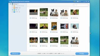 ギャラクシーS2（Samsung Galaxy SGS）で削除されたファイルを復元方法