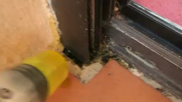 DETECTION FUITE PAR INFILTRATION HAUTE GARONNE