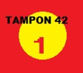 Tampon 42 /01/ vous êtes des menteurs !!