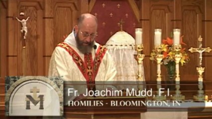 Jun 27 - Homily: St. Cyril and the Mother of God