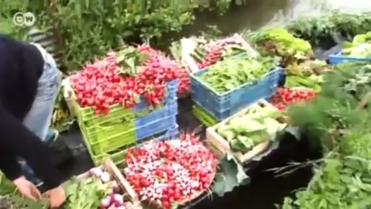Die schwimmenden märkte von amiens | euromaxx