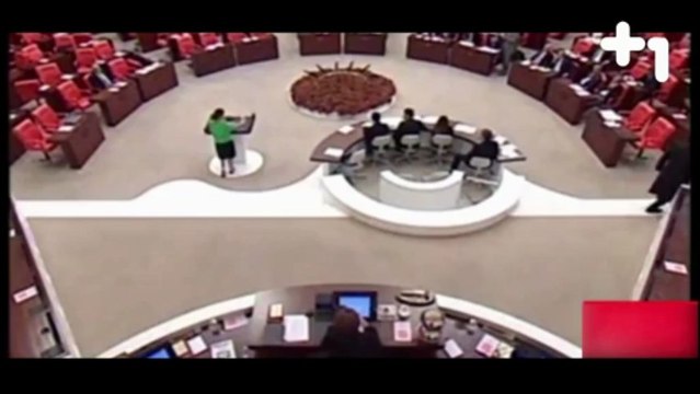 arti bir Ana Haber - Şafak Pavey Meclis Konuşması
