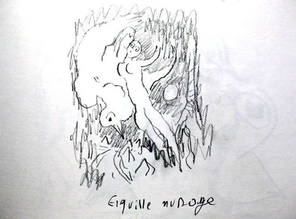 Chagall, petit cochon