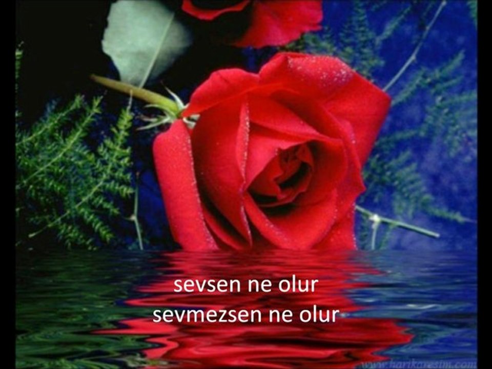 gelmesen de olur mahmut arıkan şiirleri