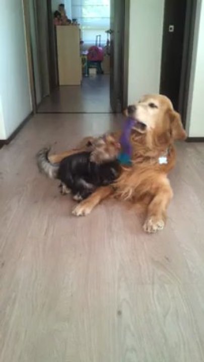 Juanchi y JEro jugando!!!