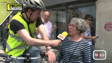 Download Video: Faut-il manifester pour que les chiens soient appréciés ?