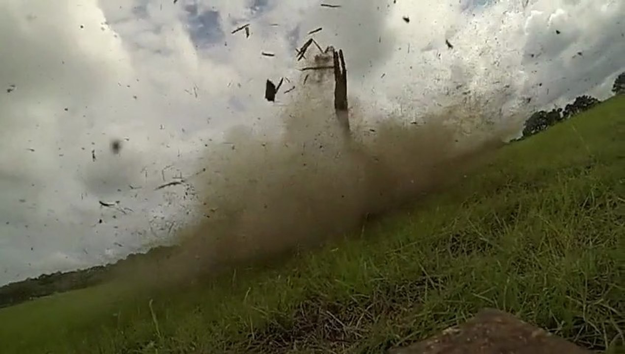 A butterfly saved from an explosion! Awesome!
