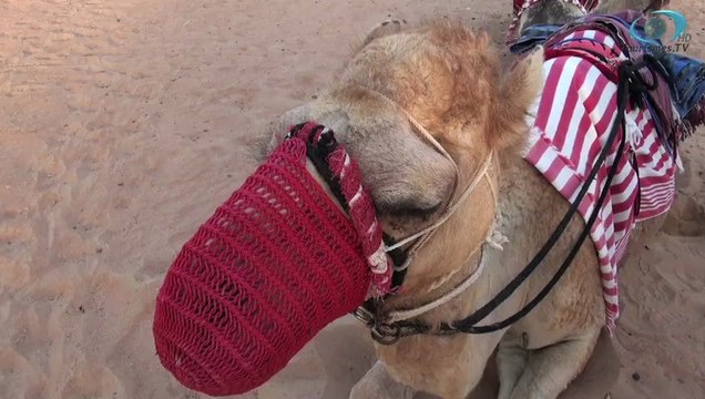 Dubai: Un coin du monde en 80 secondes : Dubai