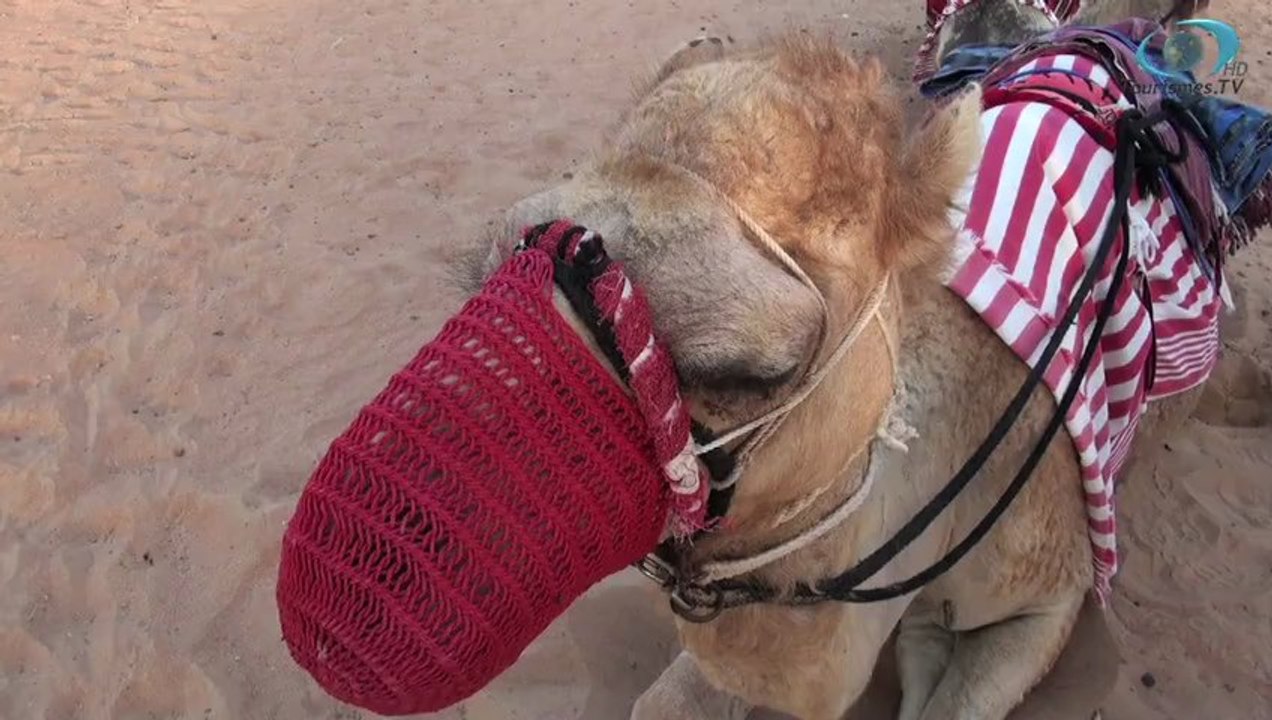 Dubai: Un coin du monde en 80 secondes : Dubai
