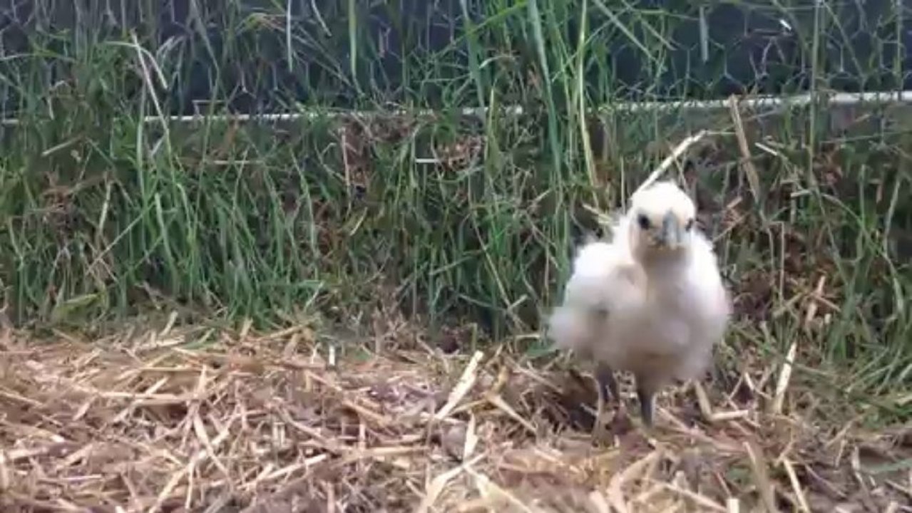 mamanetbébés4mois