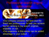 Search Engine Optimization Consultants