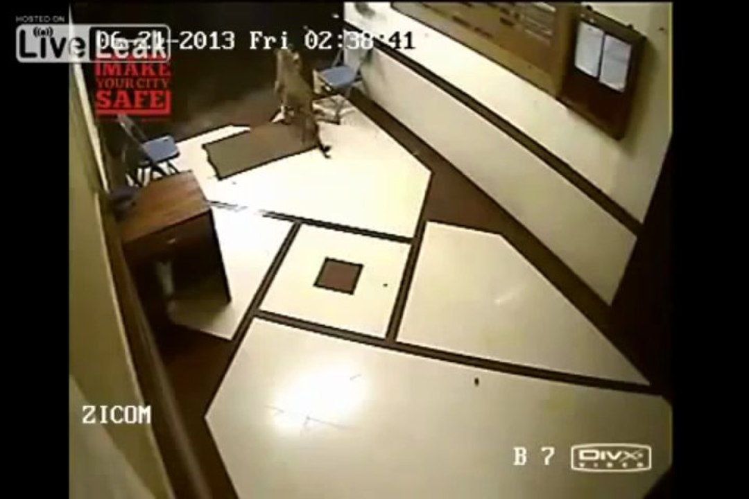 Alarma por un video donde un leopardo ataca a un perro en edificio de Bombay