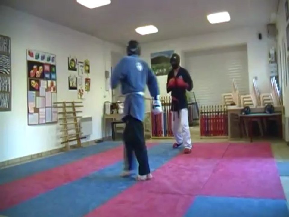 randori kenpo 3  le 24 juin 2013