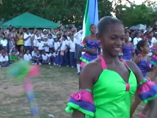 Faltan pocos días para el cierre de la base de datos del SINIC