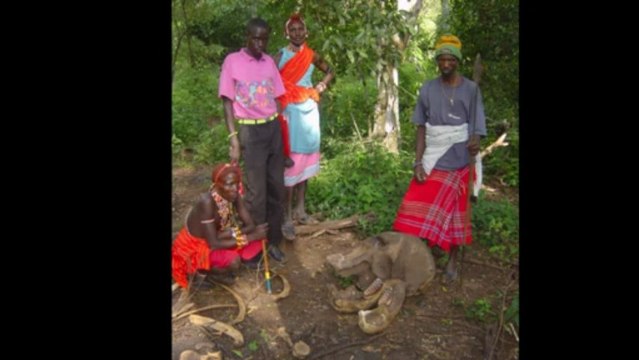 Mapping Ivory Poaching Data to Save the African Elephant