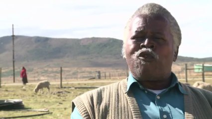 Afrique du Sud: l'enterrement xhosa, une coutume ancestrale