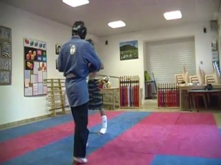 randori kenpo10  le 24 juin 2013