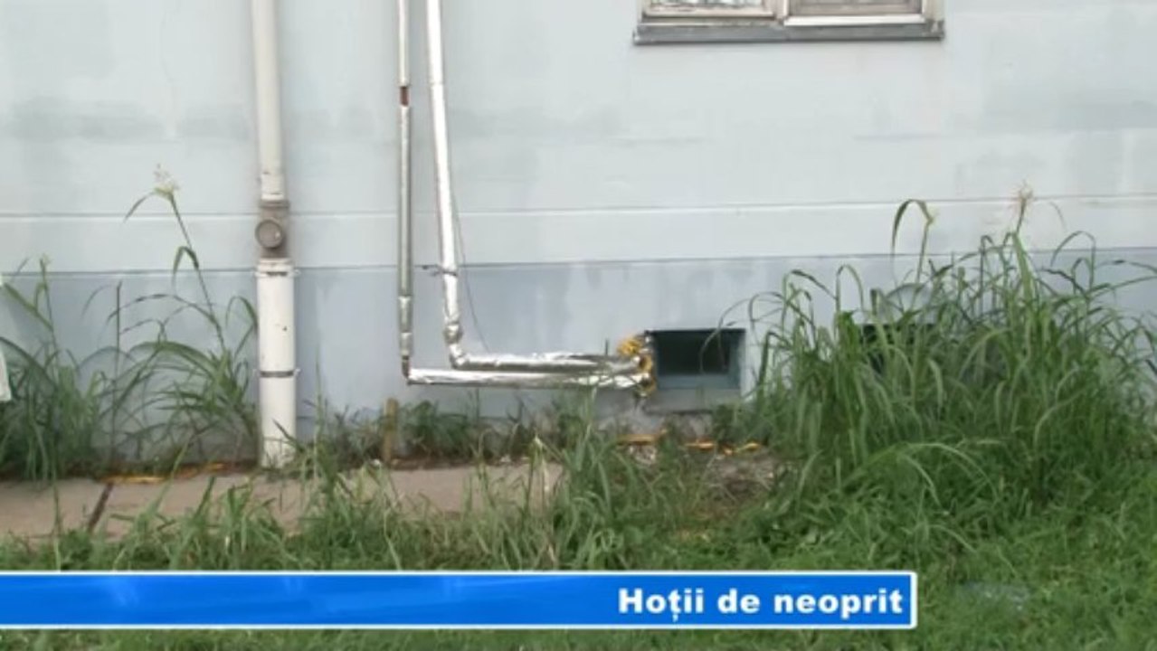 Hotii de neoprit