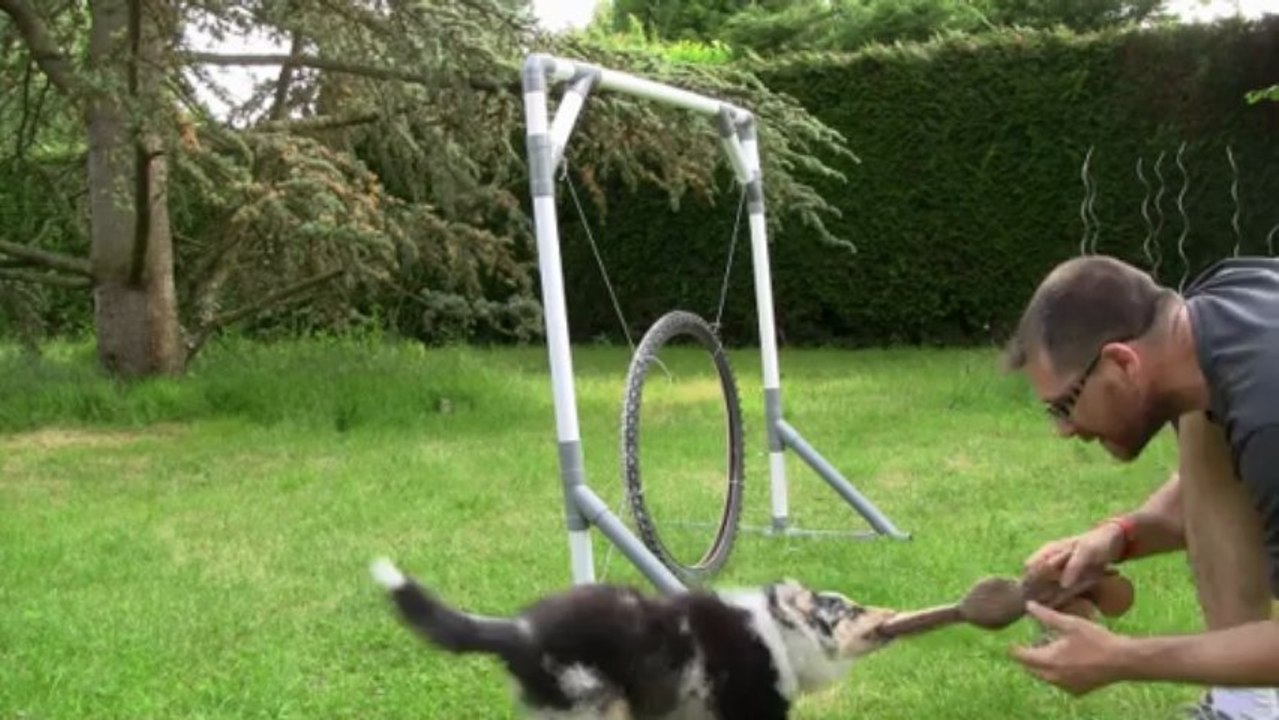 iokko le pneu S3 - 4 mois et demi