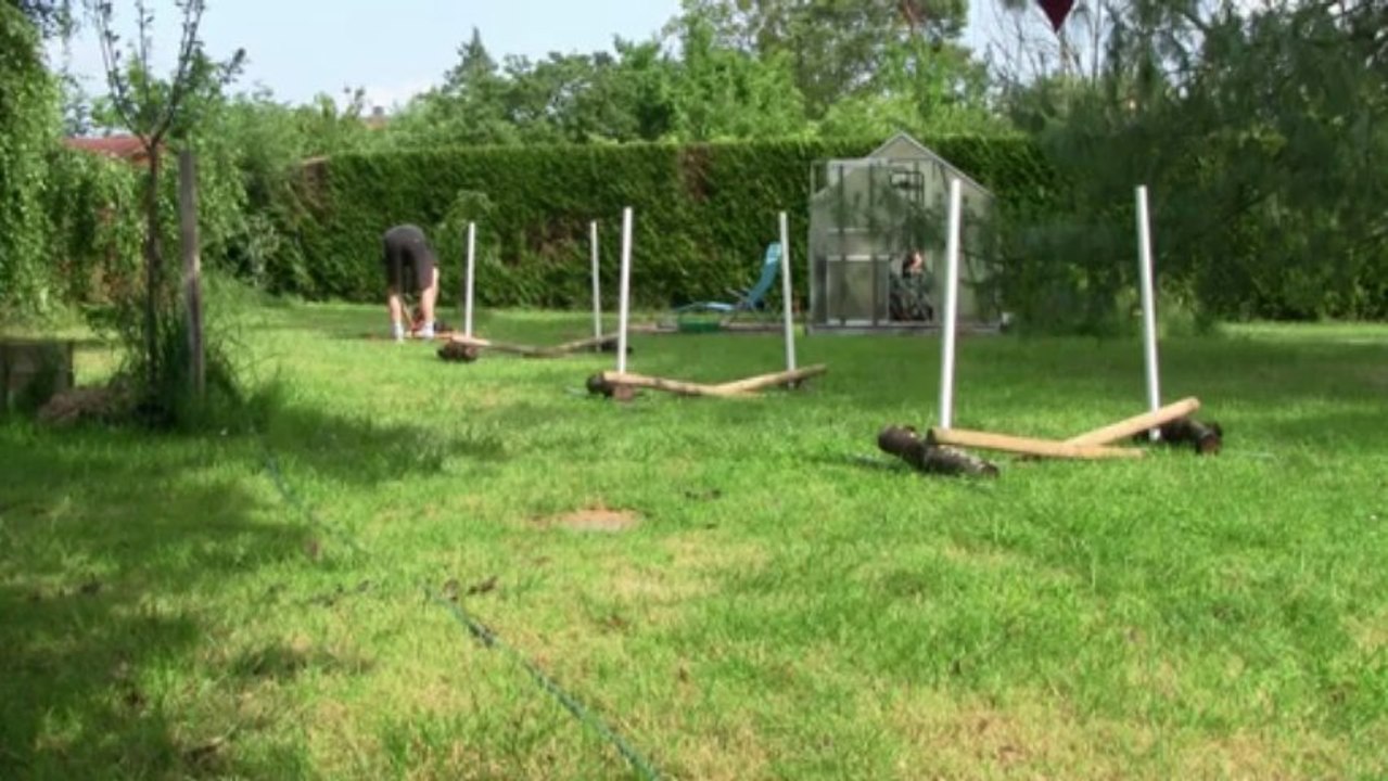 iokko obe 4 sur table devant haie -  4 mois et demi