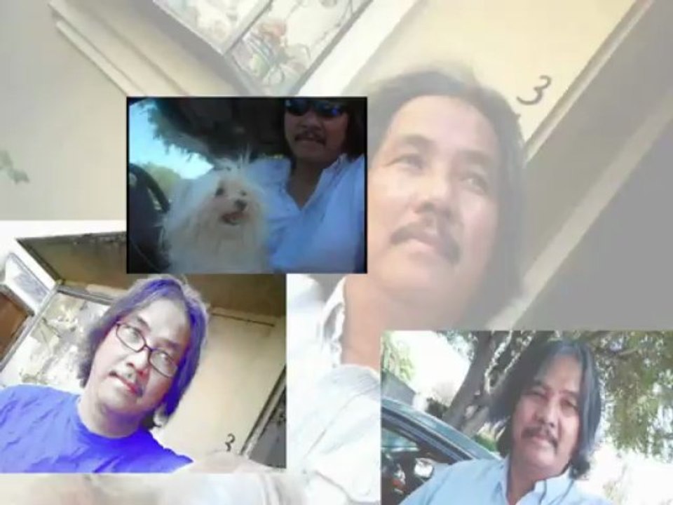 pip2b