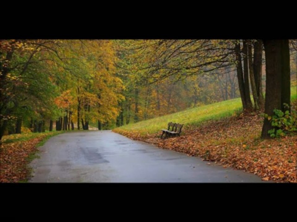 Kalbim Uzaklarda Bir Yerde - Zuhal Olcay