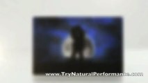 Natural Male Performance - Best Male Enhancement