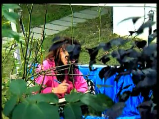 Lale - Ben Miyim Zalim