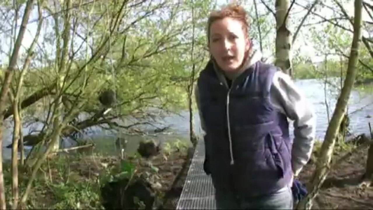 "Fragments",  jardin réalisé par le collectif Gama, Hortillonnages Amiens 2013