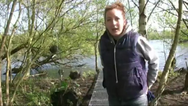 Fragments , jardin réalisé par le collectif Gama, Hortillonnages Amiens 2013