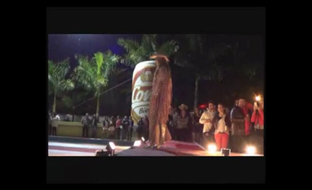 Baile da Rainha 2013 - Video I