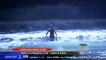 Man Swims in Ocean All Night Long Trying to Evade Police