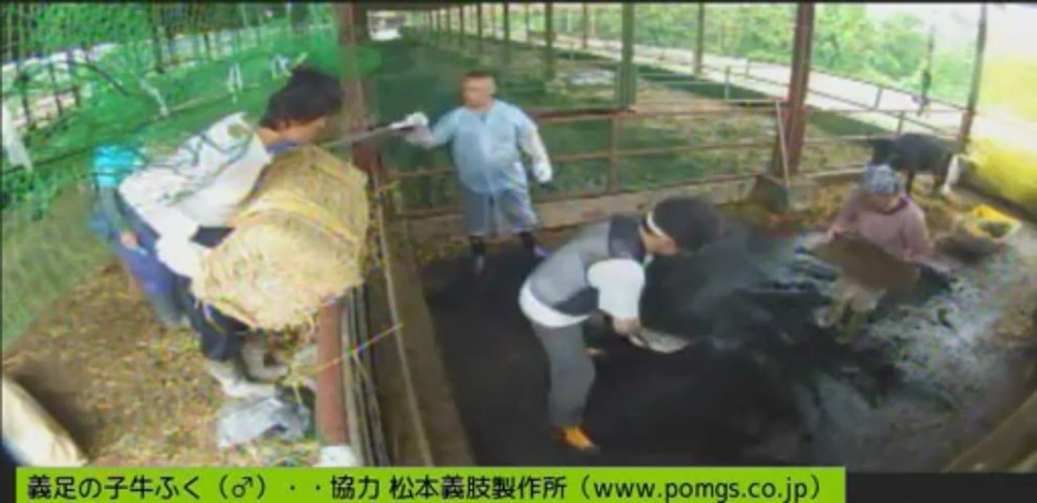 20130620　福部屋　大掃除　しず姉　他男性ボラさん
