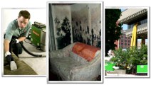 SERVPRO of Iredell County - Expert Fire & Water Restoration, Mold Mildew Removal in Mooresville NC